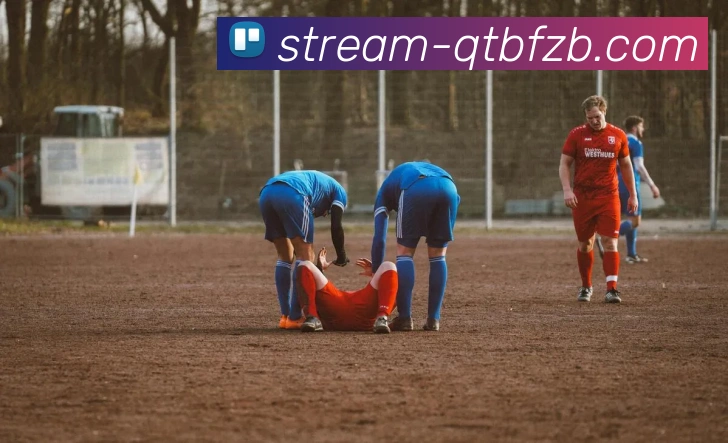 球探比分直播发展历程